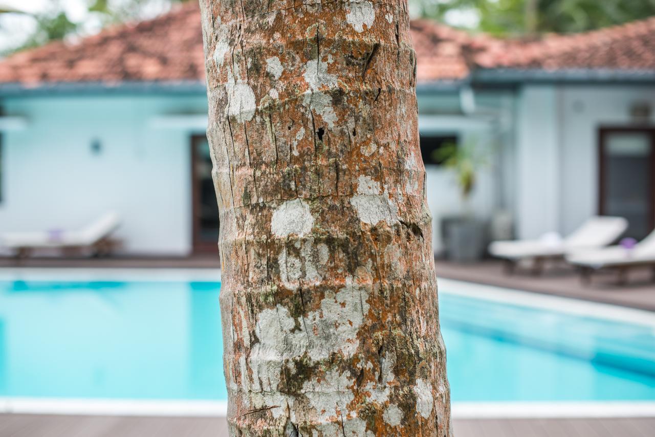 Cattleya Villa ヒッカドゥワ エクステリア 写真
