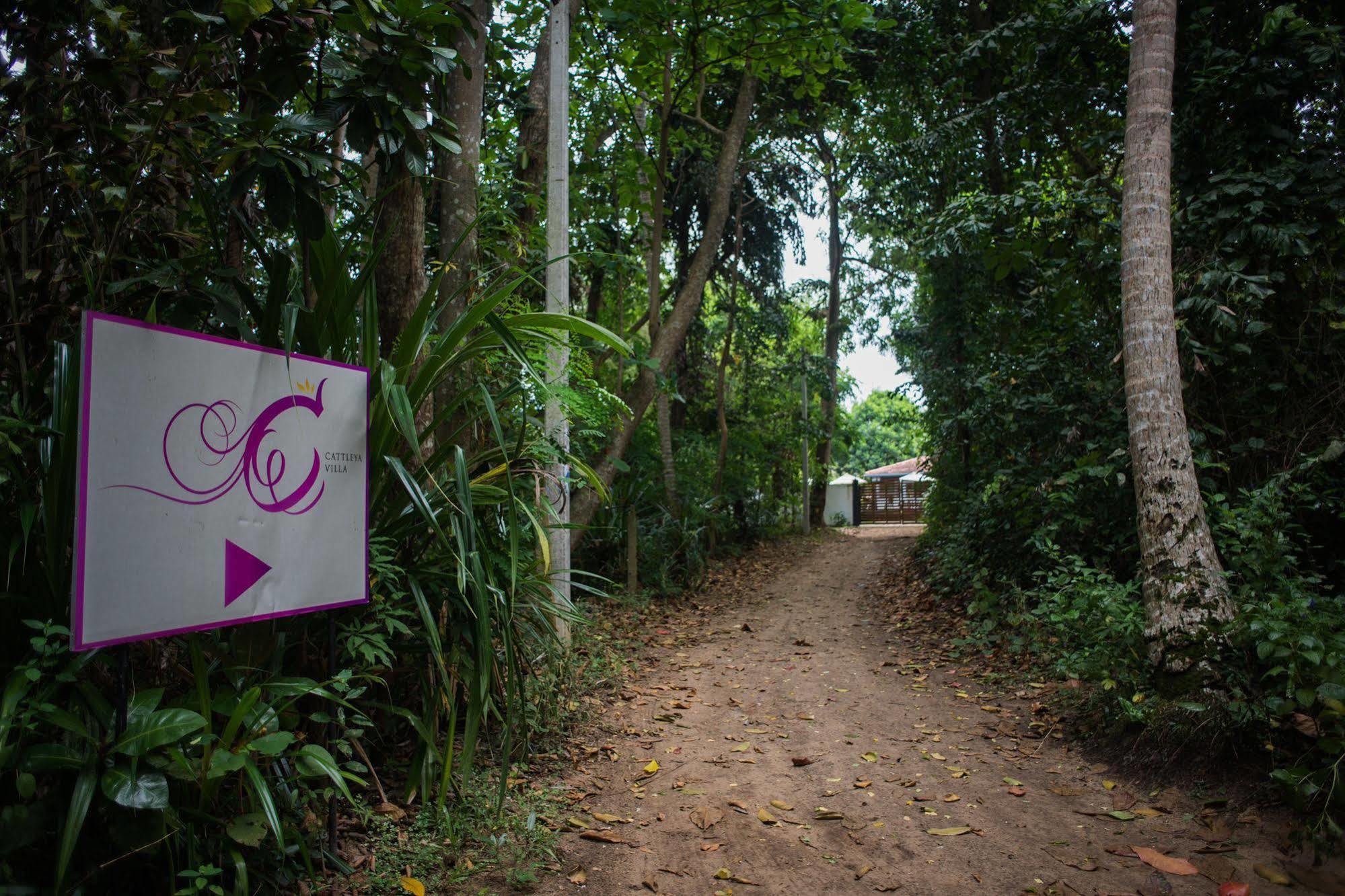 Cattleya Villa ヒッカドゥワ エクステリア 写真